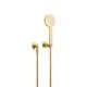 DORNBRACHT-Schlauchbrausegarnitur-mit-Einzelrosetten-TARA-27803892-Messing-gebuerstet-23kt-Gold-27803892-28 gallery number 1